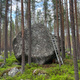 Balansfågel thumbnail