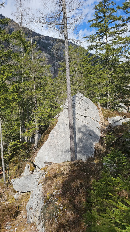 Kantenkraxler
