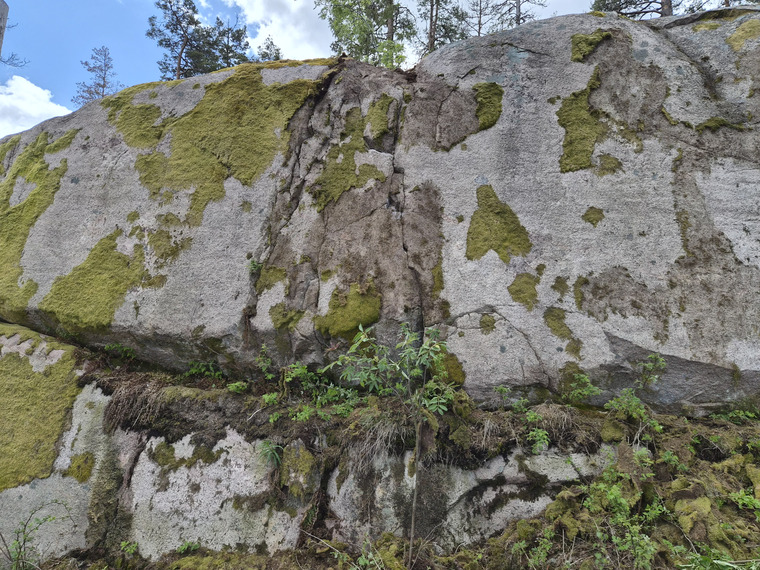 Brandväggen