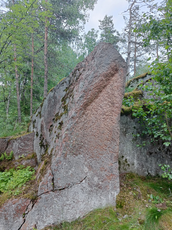Piknikspotti