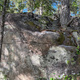 Jägarönn  thumbnail
