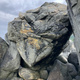Fjæreplytt thumbnail