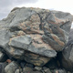 Fjære thumbnail