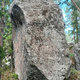 Kuuma naturalisti thumbnail