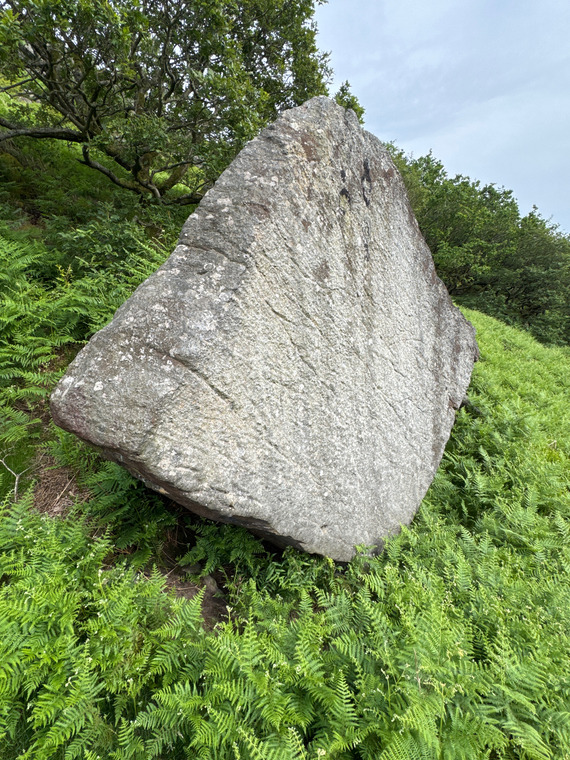 Rough Diamond