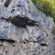 Gichtfinger thumbnail