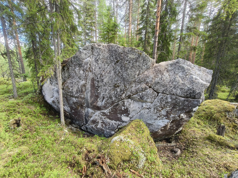 Hänkki