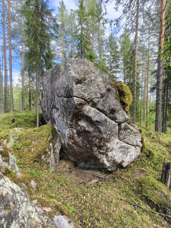 Hänkki