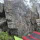 Skogsinspektorn thumbnail