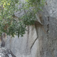 Cremeria nepalese thumbnail