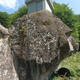 The horse thumbnail