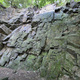 Mauerspecht thumbnail