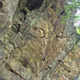 Genialer Highball thumbnail
