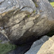 Korridorskometen thumbnail