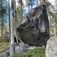 Projekt för finnarna thumbnail