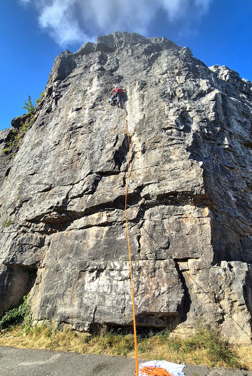 Main face