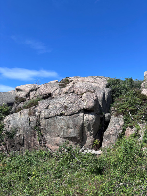 Tångebacken mot viken