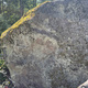 Törnrosa thumbnail