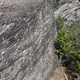 Silky Lizard thumbnail