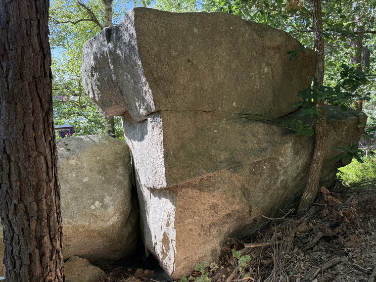 Lagerkaka