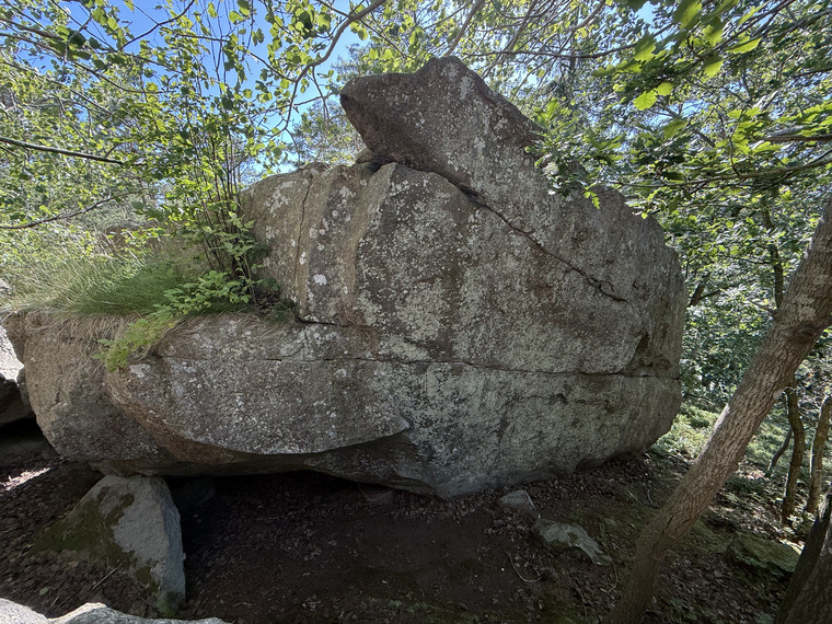 Kaka