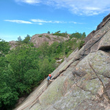 Olli Tarkiainen