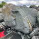 Guano thumbnail