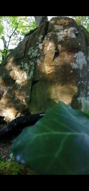 Just nice bloc