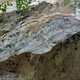 Sette anni in Tibet thumbnail
