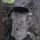 Master of the flies thumbnail