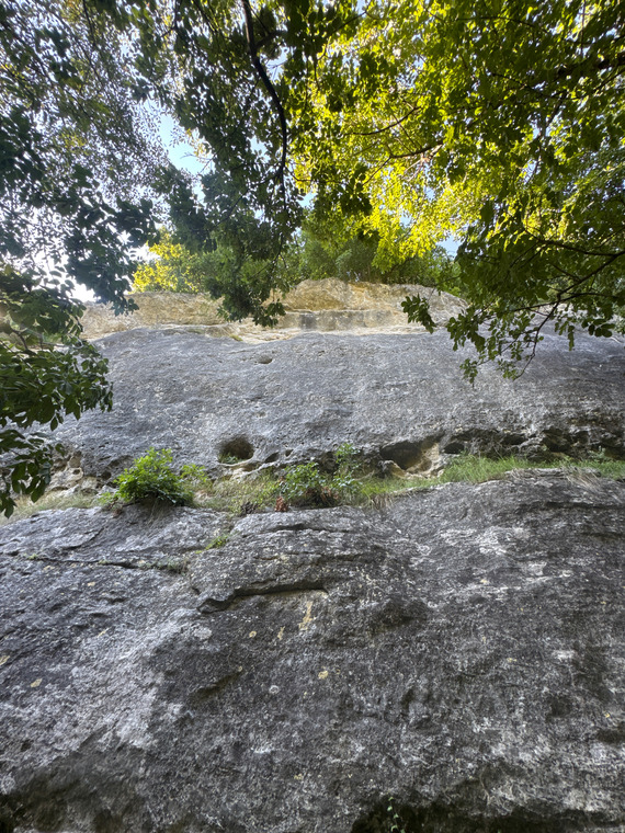 Parte centrale 