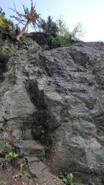 Coupeau