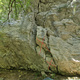 Undercling/Mono Project thumbnail