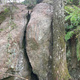 Viitankantaja thumbnail