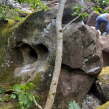 Asbjørn Hvitved-Andersen