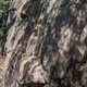 Need of Vittles thumbnail