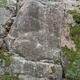 Mossy Osbourne thumbnail