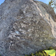 Hallonbåt thumbnail