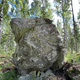 Vihtaasi on kustu thumbnail