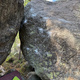 Glada huddik thumbnail