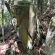 e. Jack Daniels  thumbnail