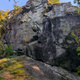 Fore the View thumbnail