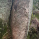 Virvoitus kaduilla thumbnail