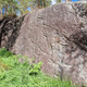 Drømmesva thumbnail