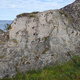 Dinoruskus thumbnail