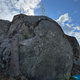 Stumped thumbnail