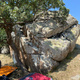 Yehu thumbnail