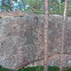 Maakaari thumbnail