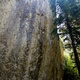 Valandil thumbnail
