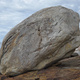 Sjøsvaet thumbnail